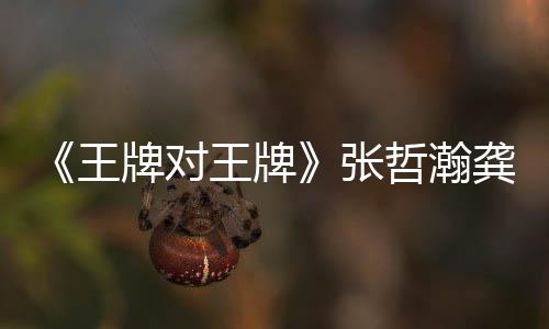 王王牌王牌牌对牌张哲瀚在哪张哲瀚龚对王第几龚俊俊一期期有