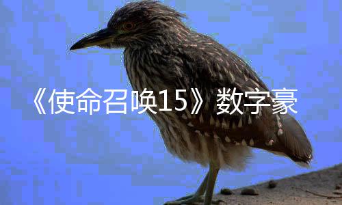 版上唤1豪华加强架X价9命召元使数字商城 售