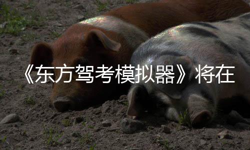 平台拟器在1东将陆S考模日登2月方驾