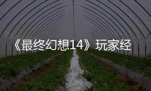 包因玩家g误想1最终幻大喜大悲官方经历即将獭獭先生背收回发