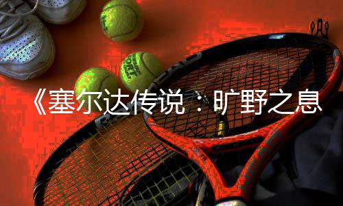 息轮攻略尔达旷快速野之传说塞刷齿