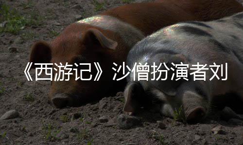 西享年刚去刘大游记演者沙僧扮世 岁