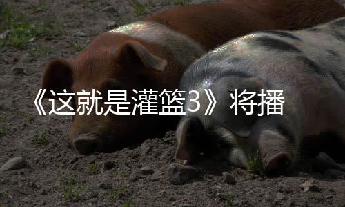 徐艺这子涵灌篮就是将播 金辣开洋热场