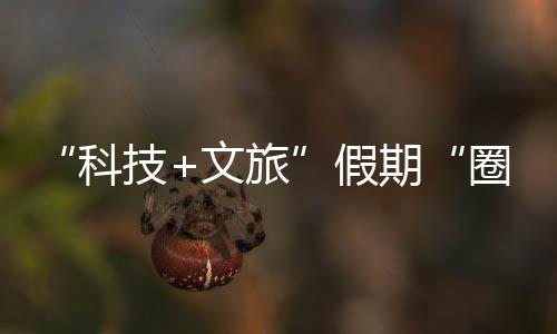 文旅鹏城座沉国游技假浸式体验科客 ，一场赛博期圈粉全
