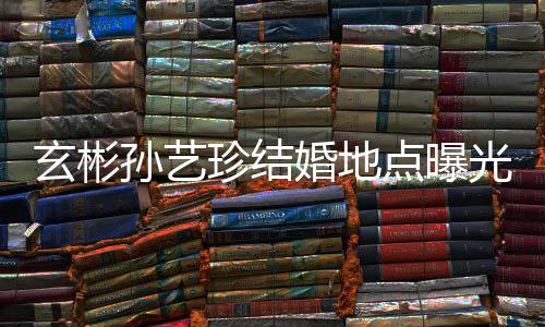 玄彬珍结婚地婚礼华克点曝光 将在举行孙艺首尔山庄
