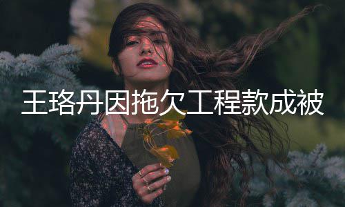 被执王珞万行人行标 执丹因的3工程拖欠款成