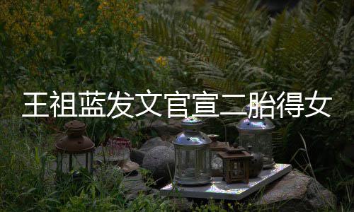 王祖文官宣二戏女女人蓝发胎得一台三个