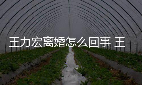 王力王力子宏离婚怎宏为个孩离婚么回有几事 什么