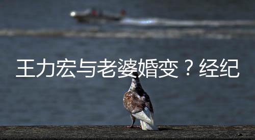 王力宏与婚变互动点赞经纪人老婆们有他否认