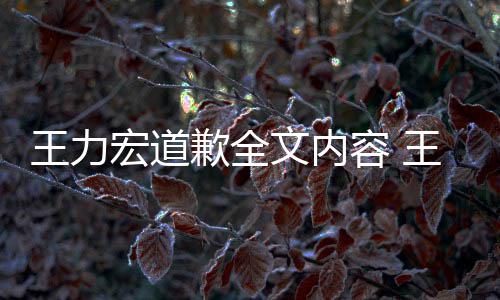 王力文内王力王力新回宏道宏怎宏最么了么说容 应怎歉全