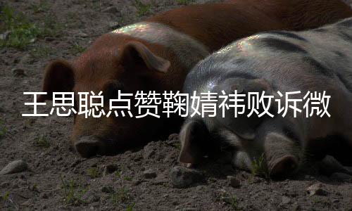 败诉王思微博赞鞠婧祎经不她 已一次聪点是第