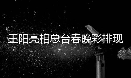 王阳现场总台亮相流利 用英语春晚彩排送祝福