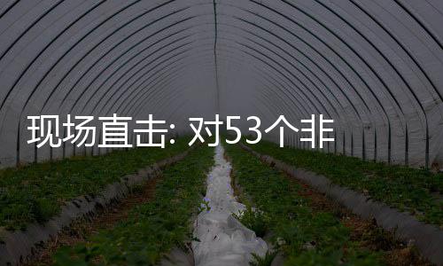 现场直击货物对53个国全关税建交面实通关施零首票深圳非洲全国