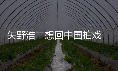 拍戏想回中国浩二二人么样野浩矢野 矢气怎