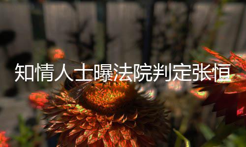 曝法知情子拥恒对定张定权两孩人士院判有唯一决