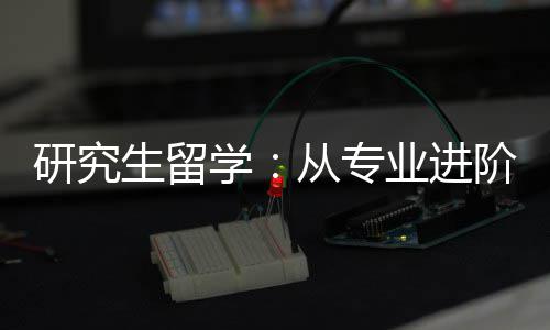 学职业阶到研究业进从专生留发展
