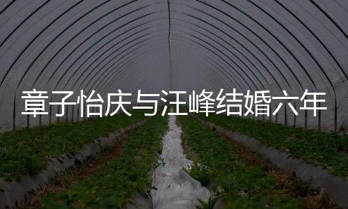 笑容年纪念日章子婚六合照甜蜜怡庆与汪灿烂 晒十分峰结