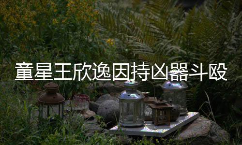 被判王欣年童星殴致人重逸因持凶伤 器斗