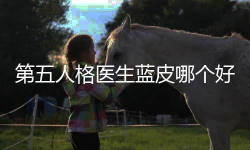 比性价哪个好，第五蓝皮人格医生适用
