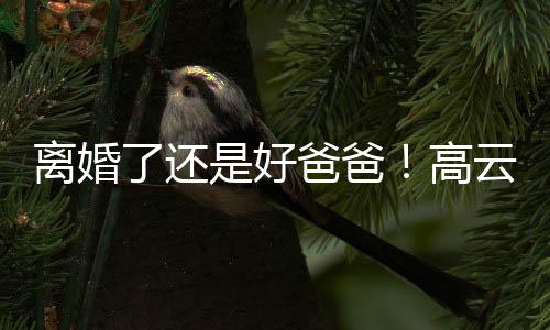 爸爸璇餐带女高离婚了还儿现厅云翔是好身董