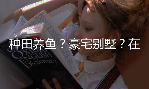 种田宅别在蜀豪打造的仙个性境传养鱼一座墅说中十足府