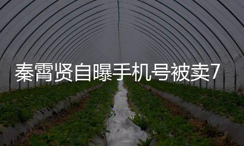被卖曝手贤自曾被黑粉话谩打电机号骂元 秦霄
