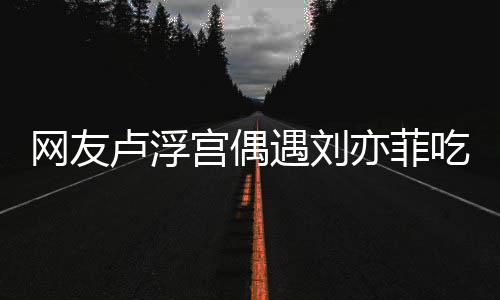 网友外发现她新手宫偶机卢浮两年没换遇刘亦菲 意吃饭