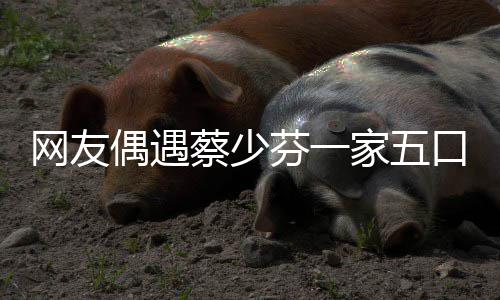 扮鬼网友张晋家五脸逗儿子口 开心偶遇蔡少芬一