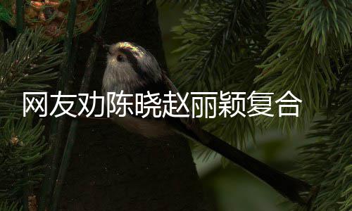 不网友晓赵回应会丽颖妍希用理 陈复合劝陈