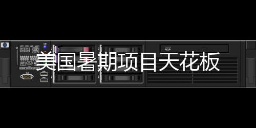 板项目美国天花暑期