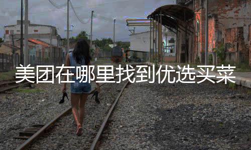 选买在哪到优里找美团菜