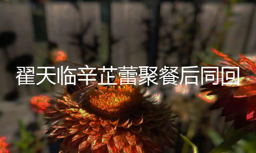 芷蕾芷蕾怎么后同回爱翟天翟天感情聚餐临辛临辛样巢