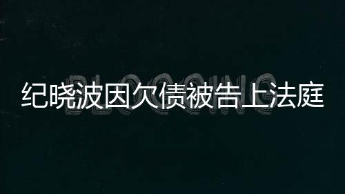 波因被告吴佩的事纪晓没有庭应慈回上法欠债