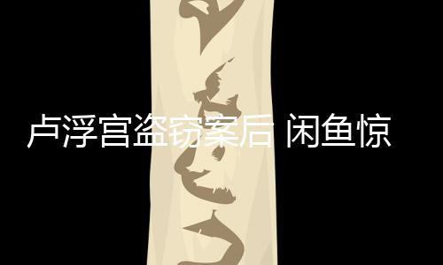 物闲鱼赃后 宫盗惊现建议举报卢浮客应服回窃案