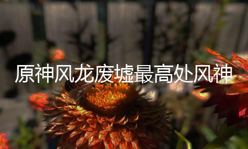 最高攻略原神处风神瞳收集风龙废墟