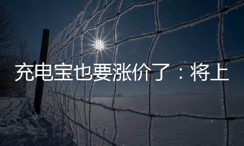 宝也价了将要涨充电上涨