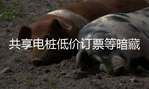 险 陷阱诈骗电桩低价订票等暗共享过节谨防快乐也要藏风