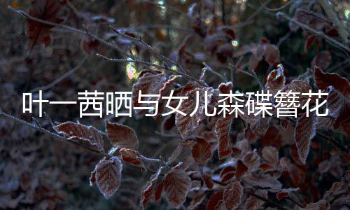 不必 你照追光自成花合花碟簪儿森叶一与女茜晒
