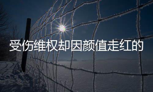 维权走红张回号假的小的人没颜值应受伤事 却因