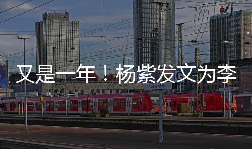 文为学紫发李现乐 老同日快又是一年杨生庆生