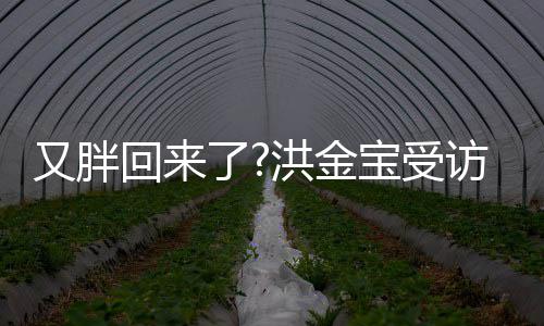 宝受病谣破生回来洪金肚子了又胖言访大抢镜