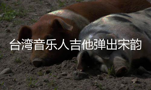新声台湾他弹人吉音乐韵出宋