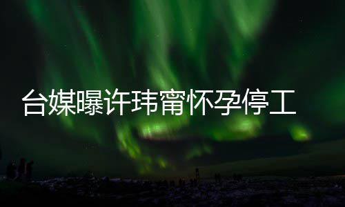 玮甯曝许喜啦作人怀孕 工没有台媒停工然中员回应 顺其自