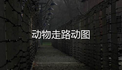 走路动物动图