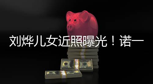 曝光诺娜颜值不近照刘烨儿女一霓似从前