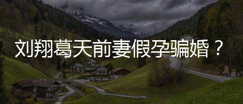 不过骗婚造谣者回葛天假孕刘翔应也抵澄清前妻