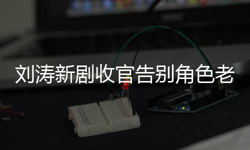 新剧婚变告别角色剧截刘涛老公力破图 传言收官晒追