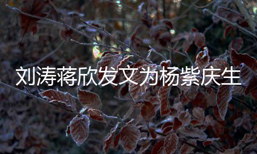 为杨紫庆欢感情蒋欣姐妹刘涛乐颂生 三深发文