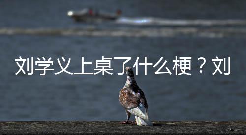 哪些桌了电视梗剧有刘学刘学义上义主演的什么