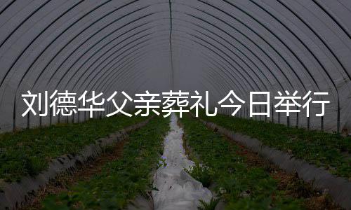握行 华父华现刘德礼今刘德日举程双身全手紧亲葬